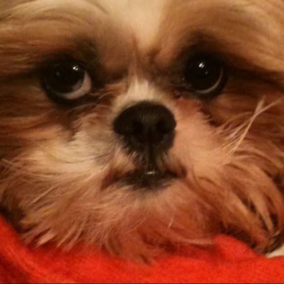 ✨WELCOME TO MY CLOSET ✨ - Picture 4 of 13